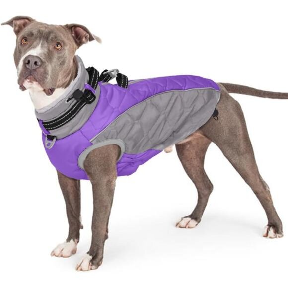 Dog Jackets Medium Dogs, Windproof & Water Resistant Winter Clothes - Picture 2 of 7